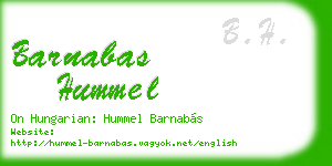 barnabas hummel business card